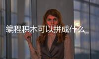 编程积木可以拼成什么_(编程积木可以拼成什么图形) 