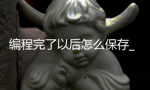 编程完了以后怎么保存_(编程编好了怎么运行到程序里)