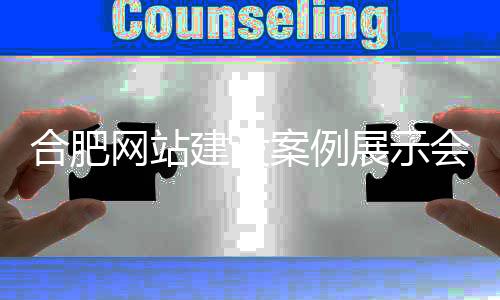 合肥网站建设案例展示会（合肥网站建设公司排名）