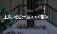 上海网站开发app推荐_(上海十大app开发公司排名) 