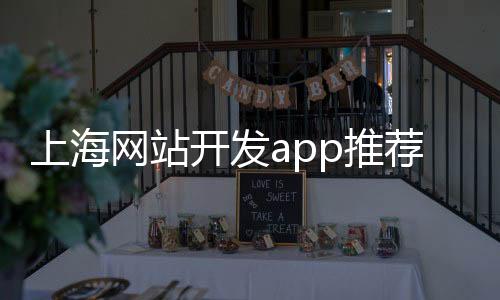上海网站开发app推荐_(上海十大app开发公司排名)