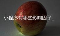 小程序有哪些影响因子_(小程序有哪些影响因子高的) 