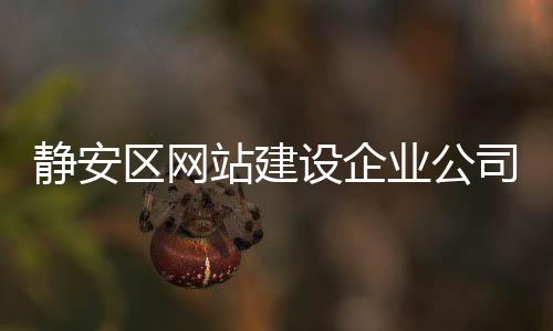 静安区网站建设企业公司(静安区网站建设企业公司名单)